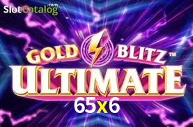 Premium Interface 65x6